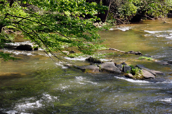 Toccoa River