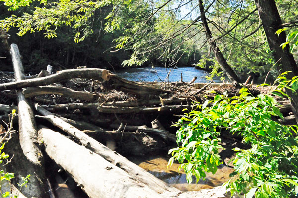Ttoccoa River
