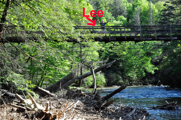 Lee Duquette on The Swinging Bridge