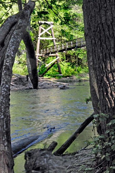 The Swimging Bridge