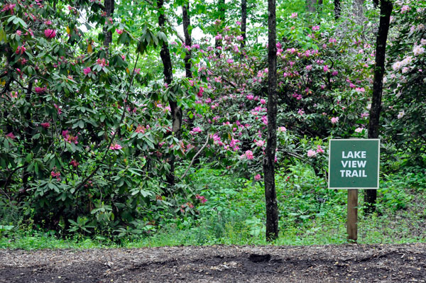 Lake View Trail