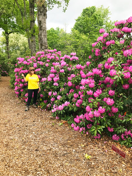 Karen Duquette in Hamilton Gardens