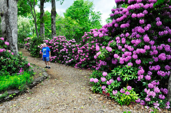 Lee Duquette in Hamilton Gardens