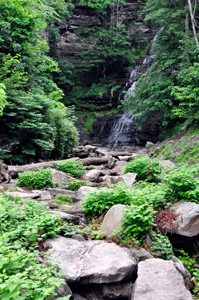 Cathedral Falls