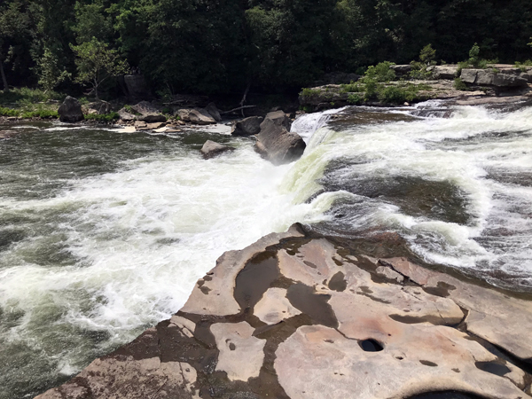 Ohiopyle Falls