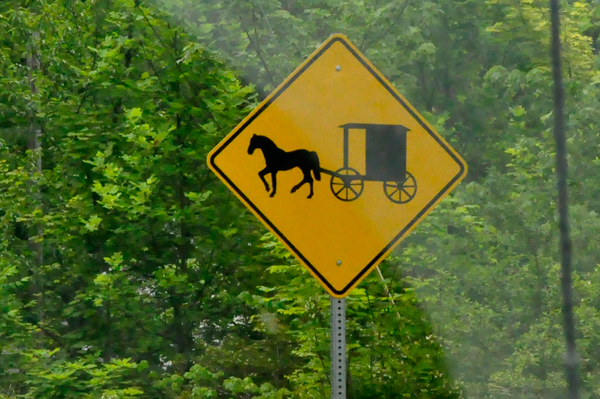 horse and buggy sign