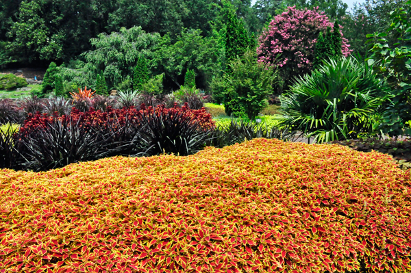 colorful arrangement
