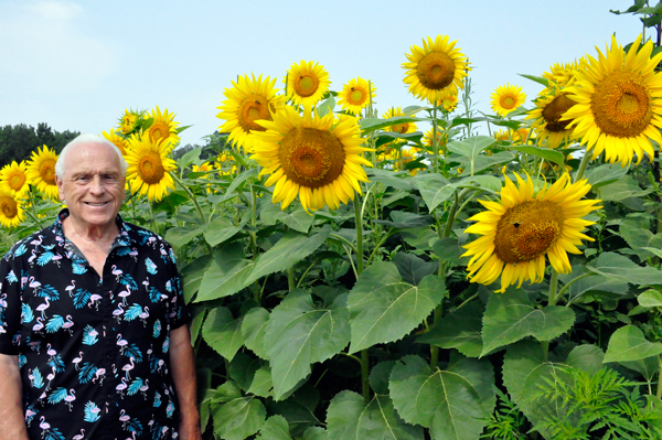 Lee Duquette and the Sunflowers