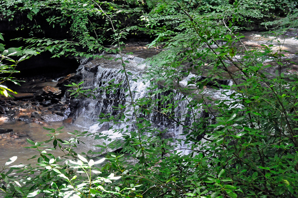the lower falls area 