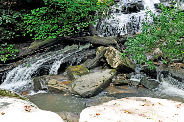 closeup of the falls 2021