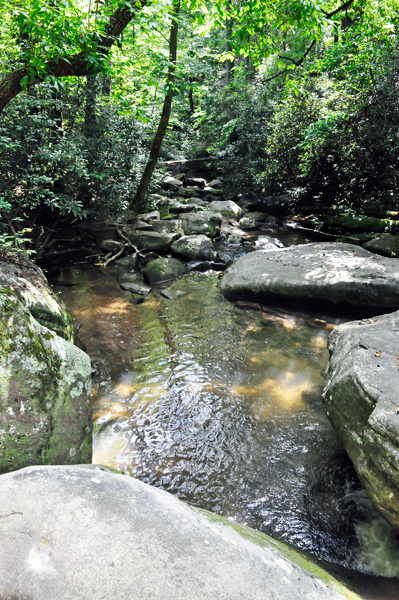 the start of the trail