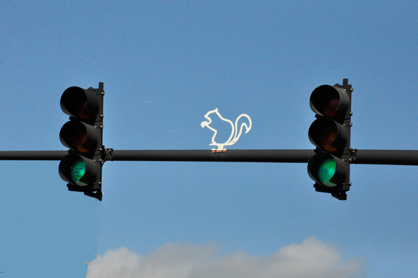 traffic light with a squirrel on top 