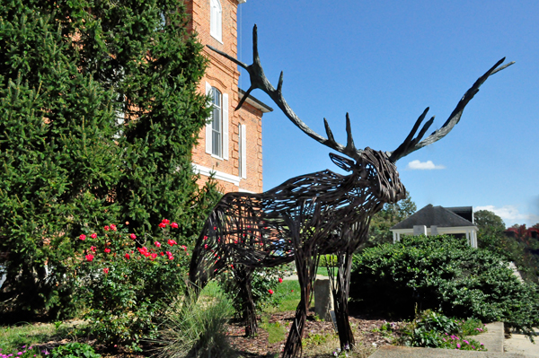 moose statue
