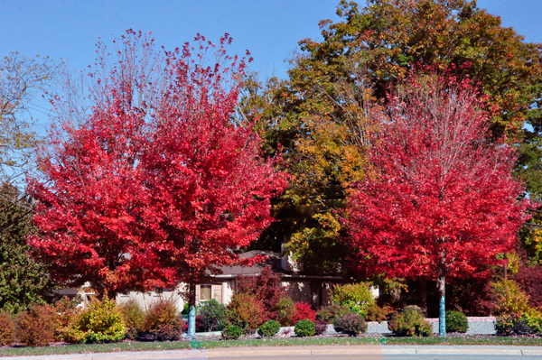 fall colors in Boone NC