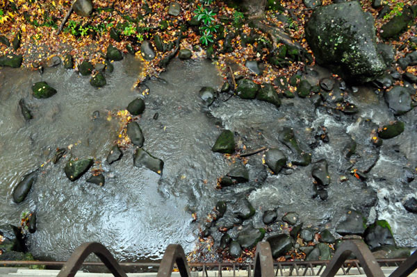 Looking straight down from the balcony