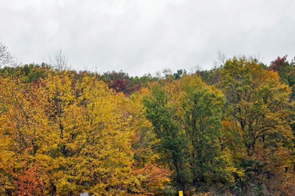 Fall Foliage on the Blue Ridge Parkway