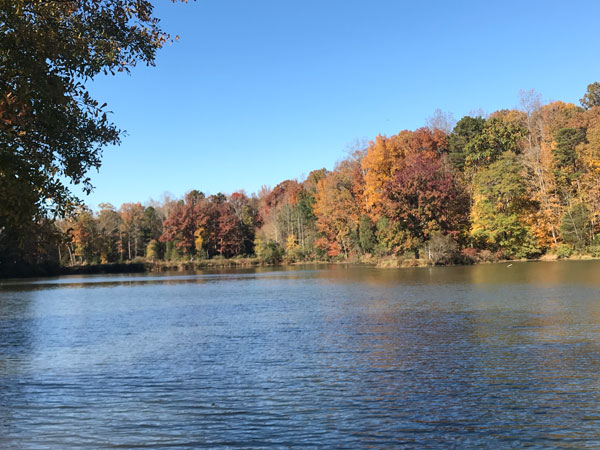 Fall foliage at The Greenway