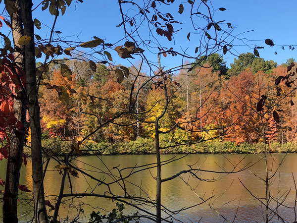 Fall foliage at The Greenway