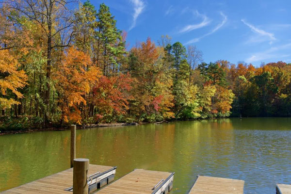 Fall foliage at The Greenway