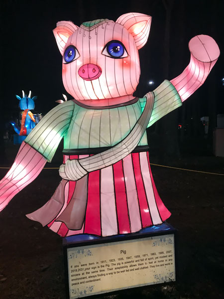 Zodiac sign - Pig