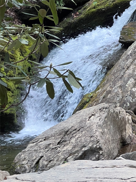 Catawba Falls