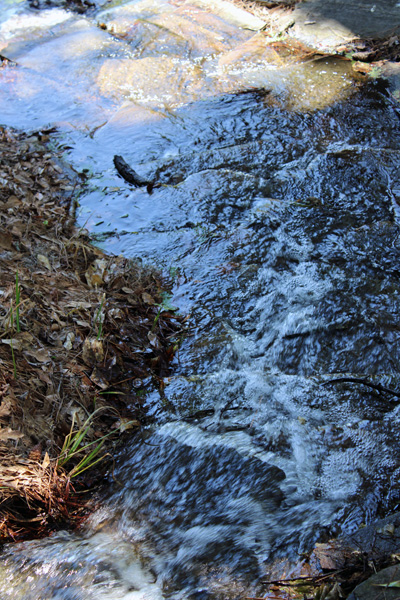 View of the waterfall from above