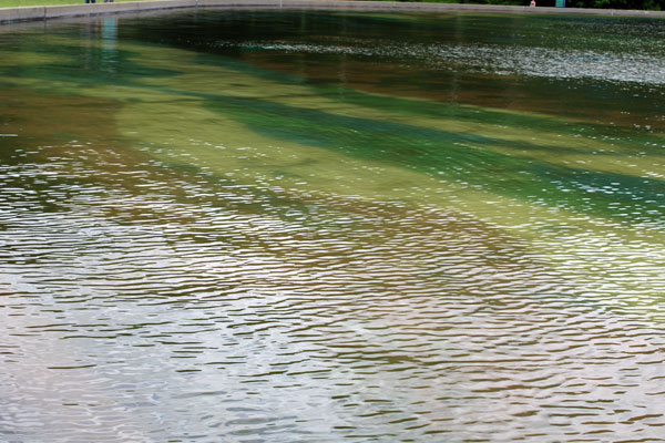 colorful pond