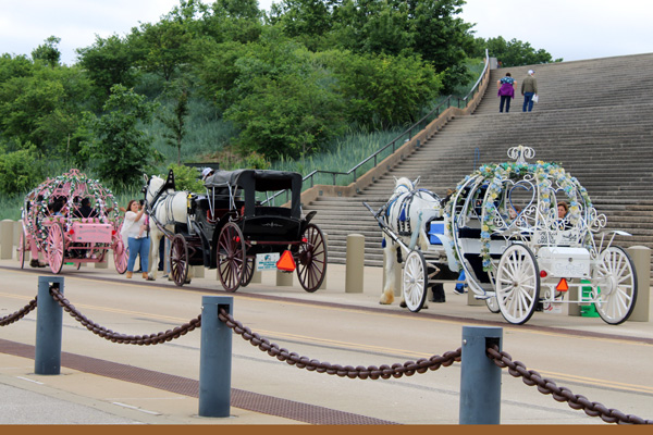 stairs, horses and coaches