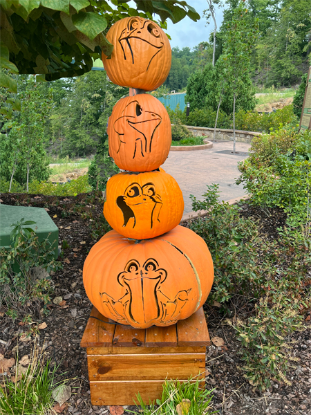 Pumpkin decorations in Dollywood