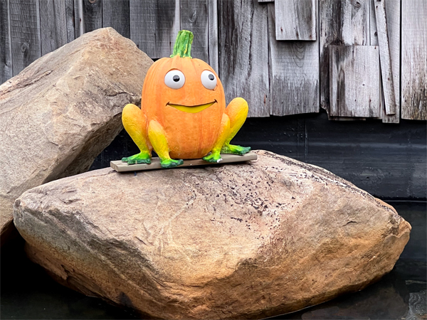 pumpkin frog