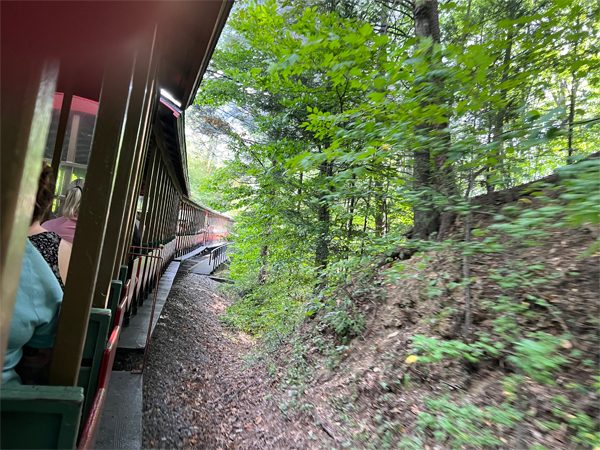 Dollywood Express train