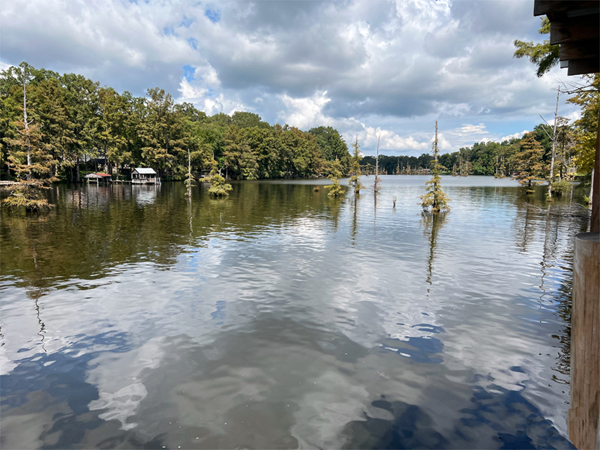 tranquil views of the Bayou DeSiard