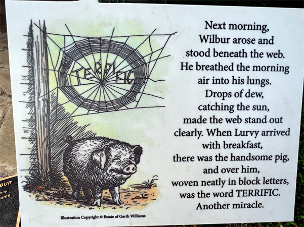 Charlotte and Wilber book