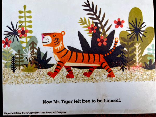 Mr Tiger