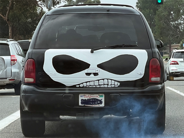 cool design on the back of a car
