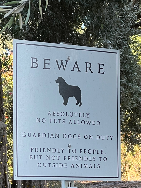 no pets allowed sign