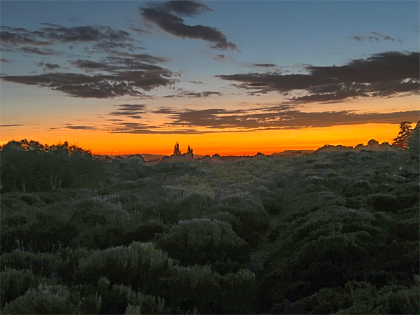 Olive Grove and the sunset over the mountains.