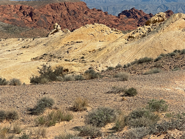 view of Fire Canyon