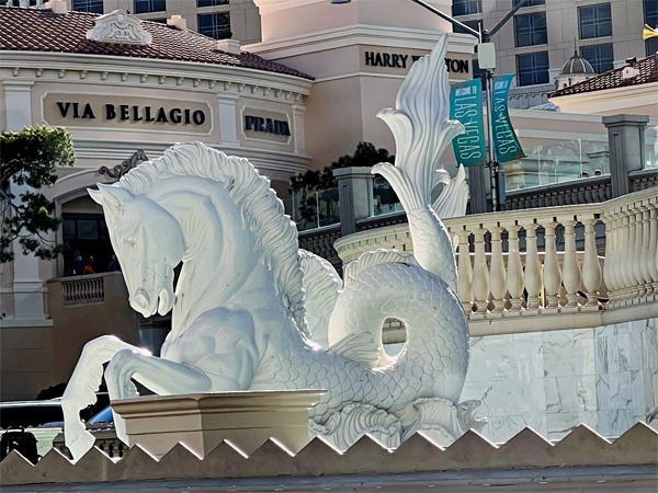 white horse