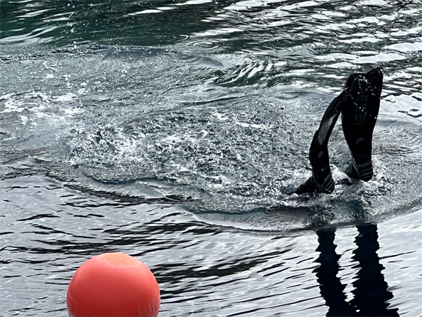 scuba diver
