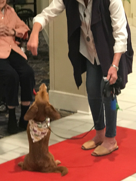 1st place winner