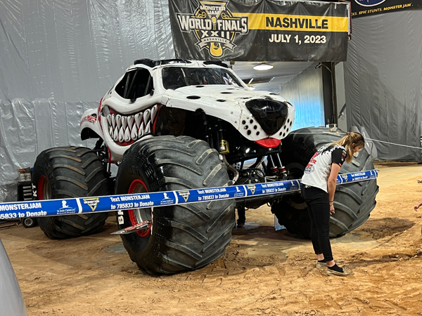 Monster Mutt Dalmatian