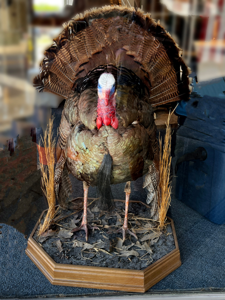 big turkey statue