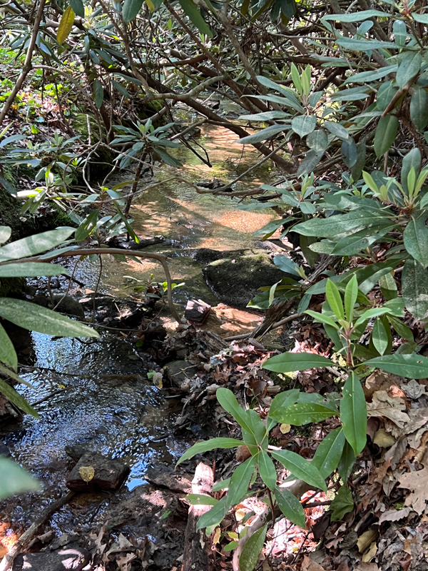 stream of water flowing