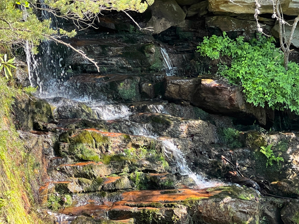 Tory's Den Waterfall