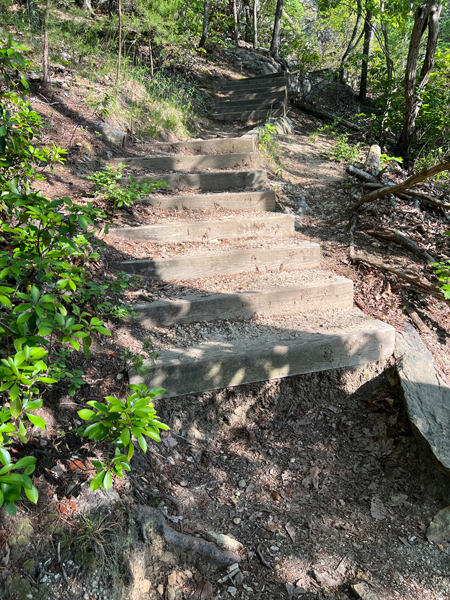 steps