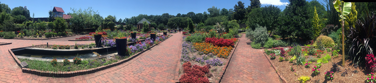 parorama of the garden