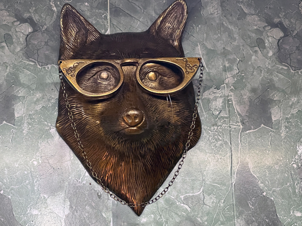 dog with glasses