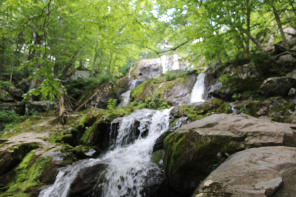 Dark Hollow Falls