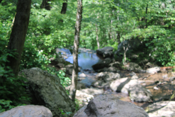 waters flowing downhill along the trail